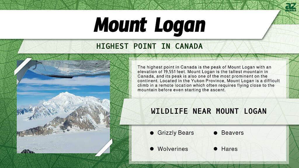 Mount Logan - The Highest Point in Canada