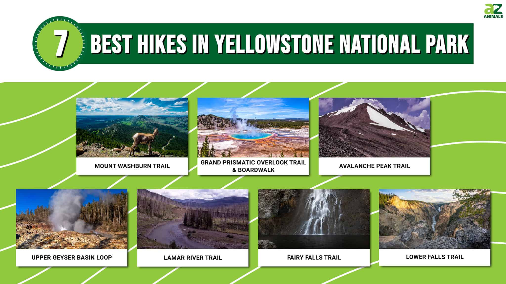 The 7 Best Hikes in Yellowstone National Park - A-Z Animals