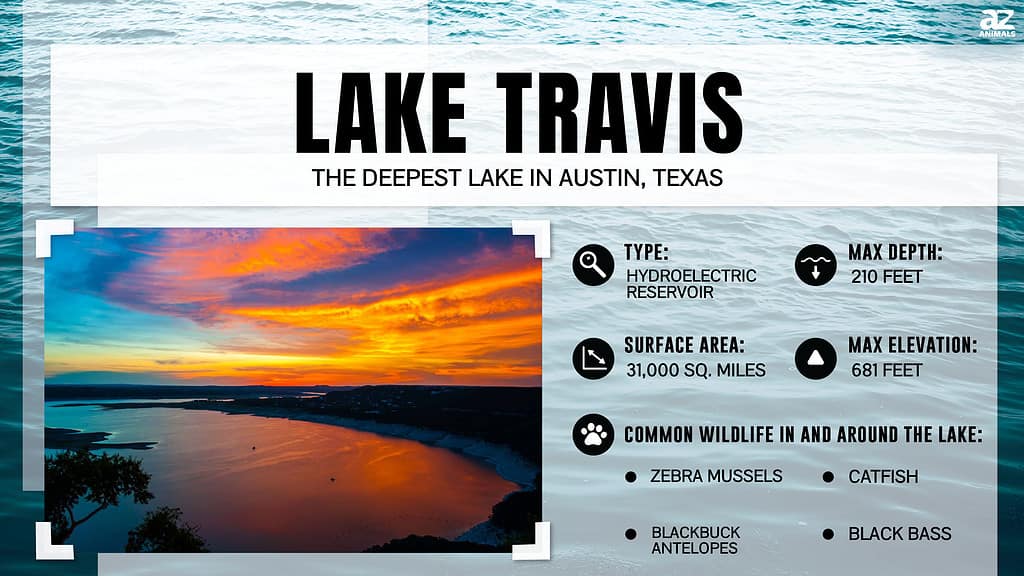 Infographic of Lake Travis