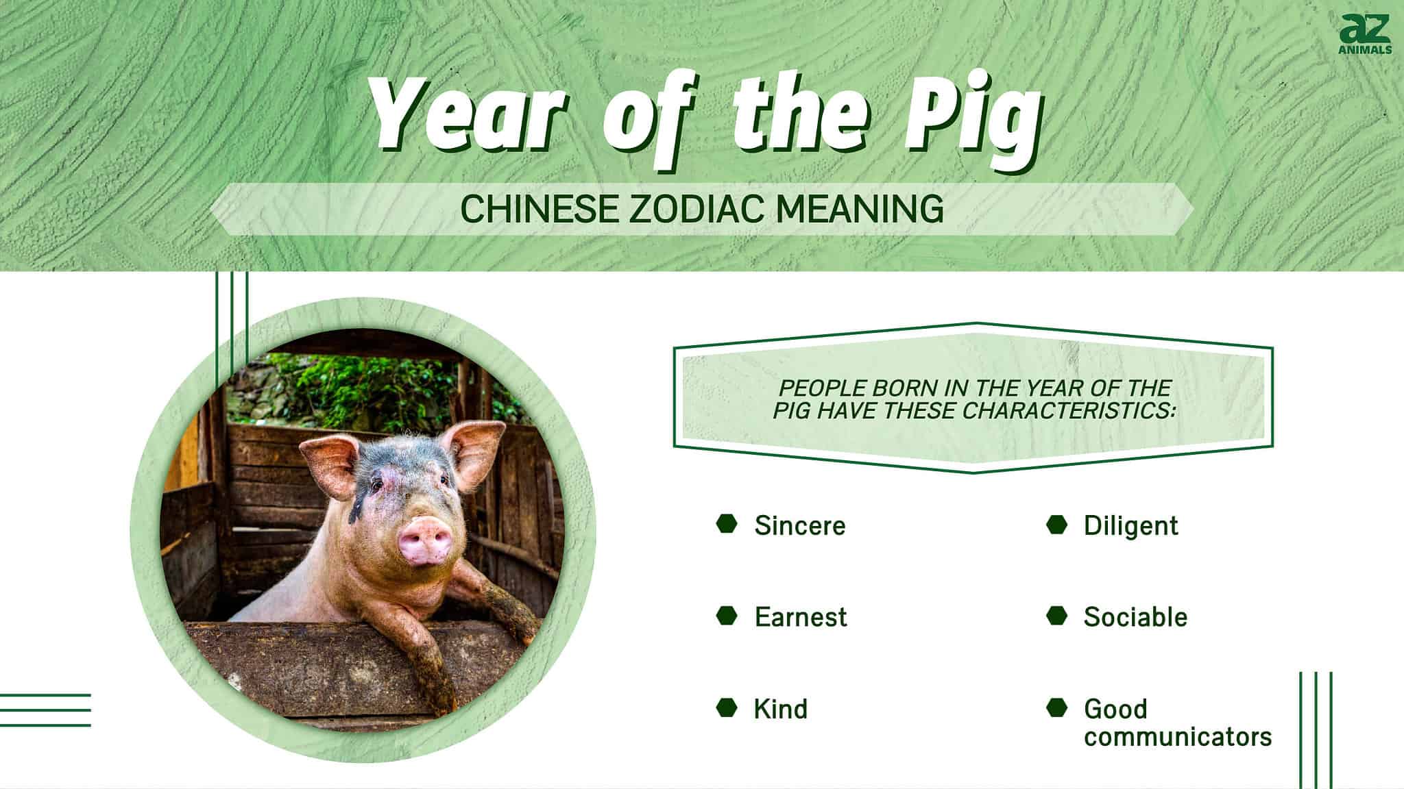 Year of the Pig Chinese Zodiac Meaning and Years AZ Animals