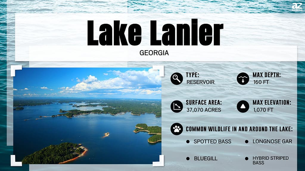 Infographic about Lake Lanier, GA