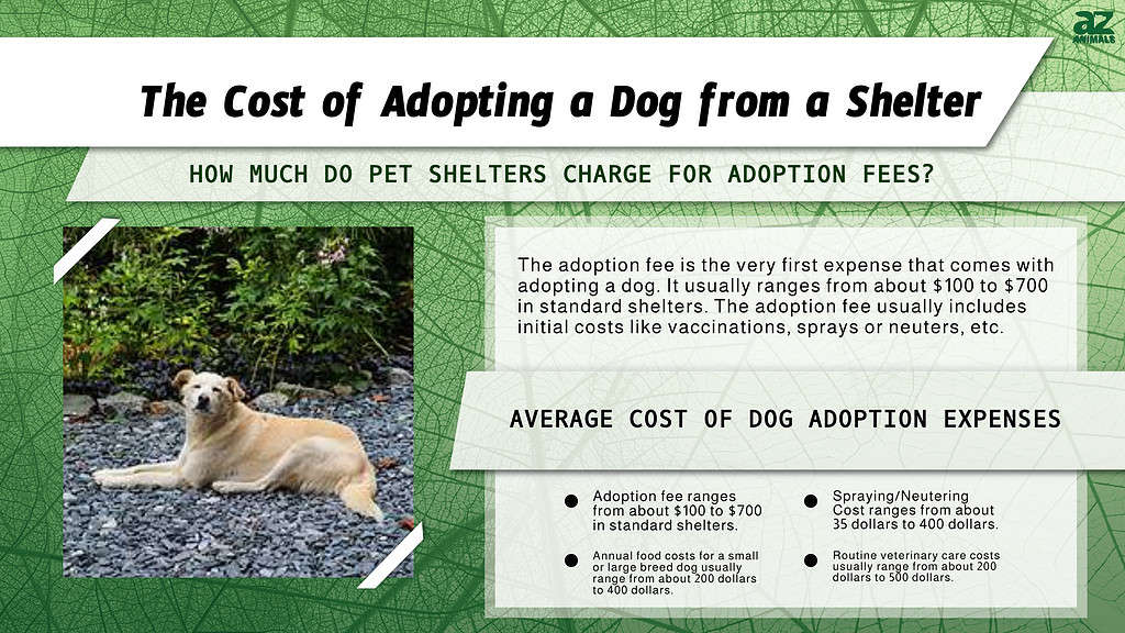 Chart of costs for adopting a dog from a shelter.