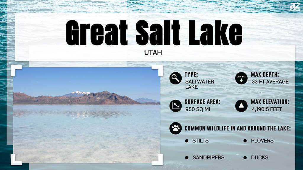 Infographic about Great Salt Lake.