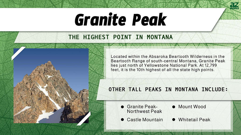 Infographic of Granite Peak