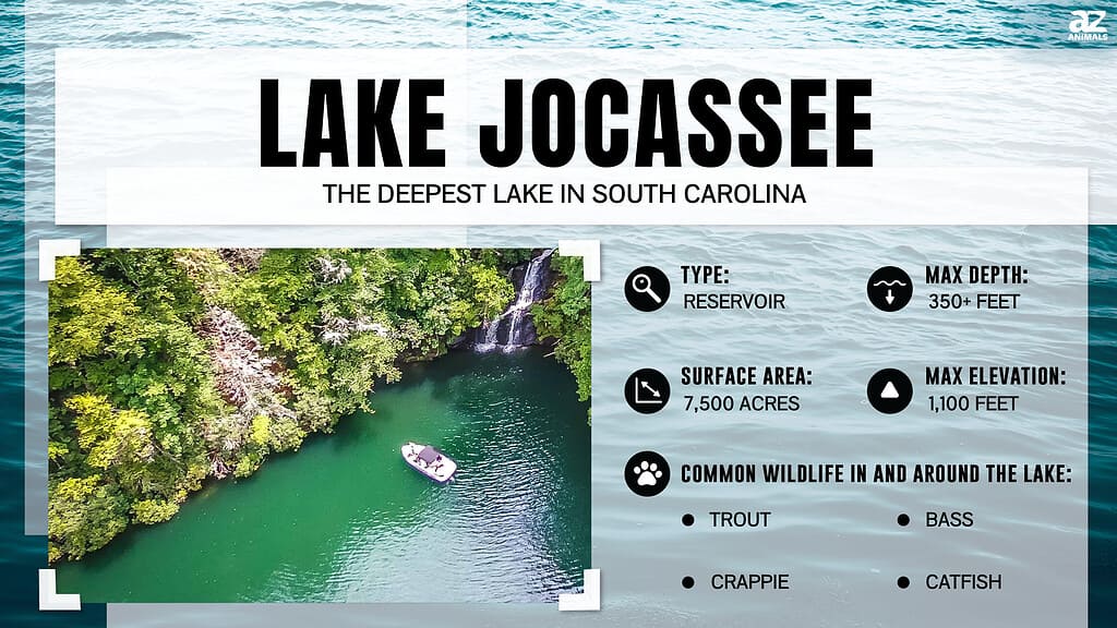 Infographic of Lake Jocassee