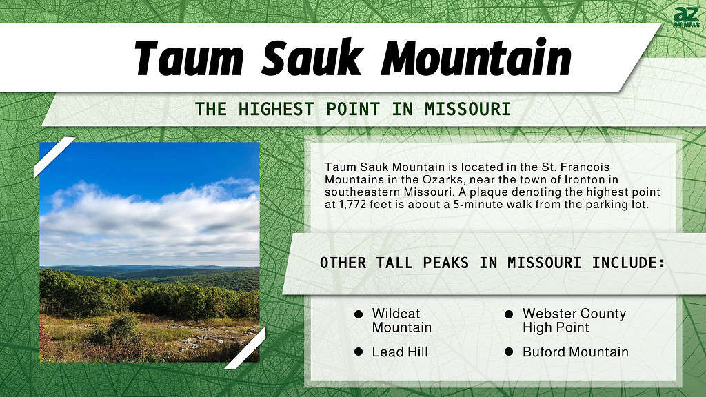Infographic of Taum Sauk Mountain 