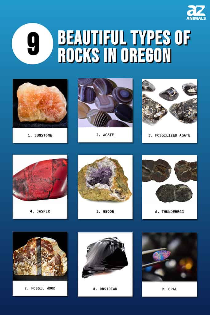 9 Beautiful Types of Rocks in Oregon infographic
