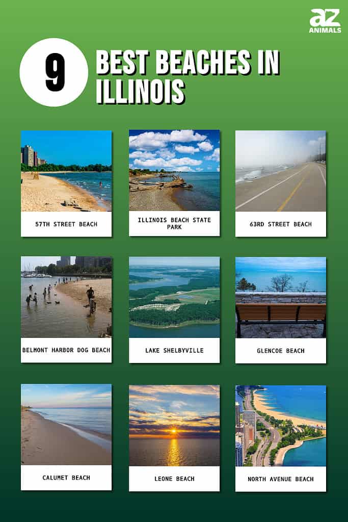 9 best beaches in Illinois infographic 