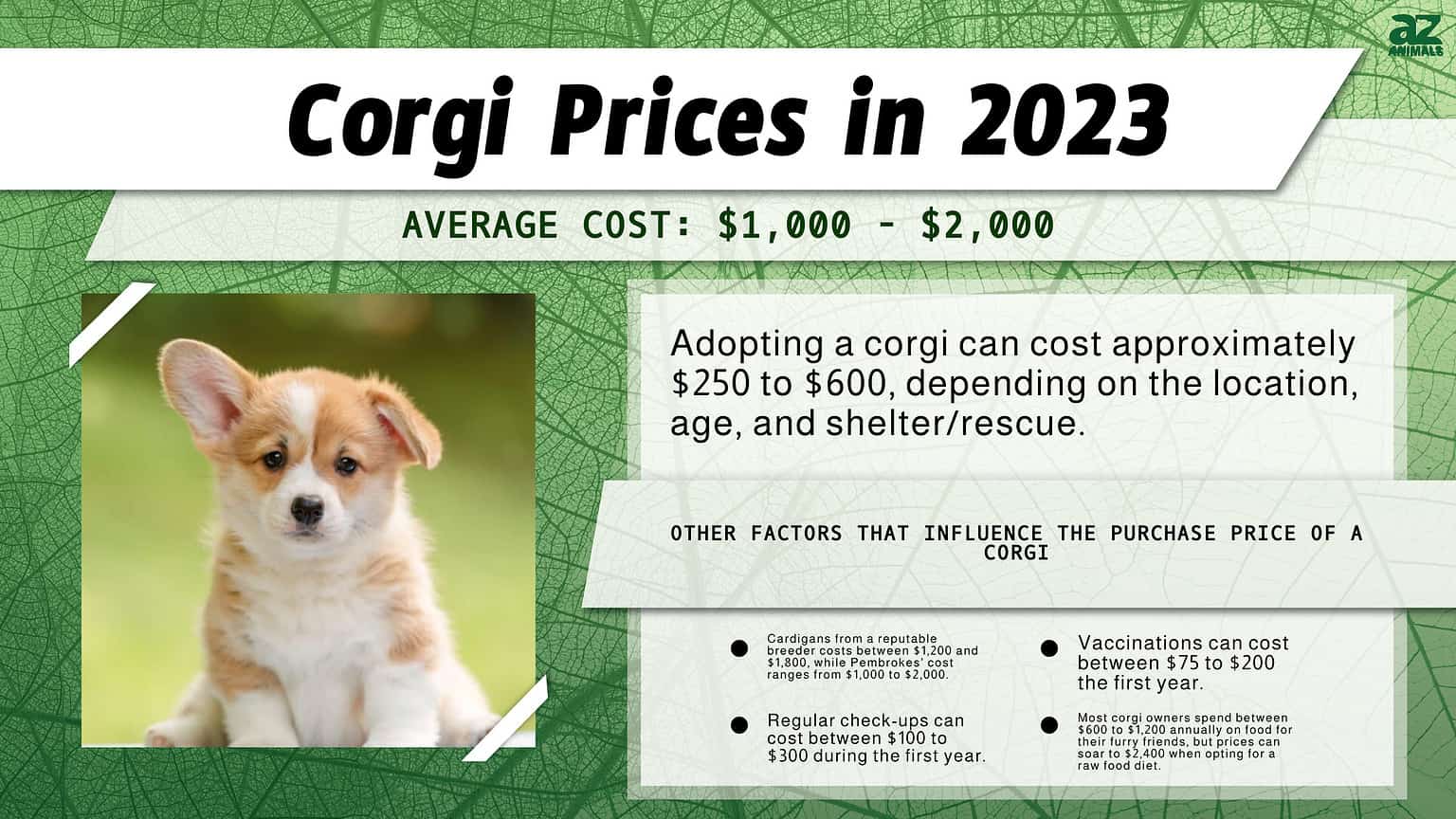 Prices in 2024 Purchase Cost, Vet Bills, and More! AZ Animals