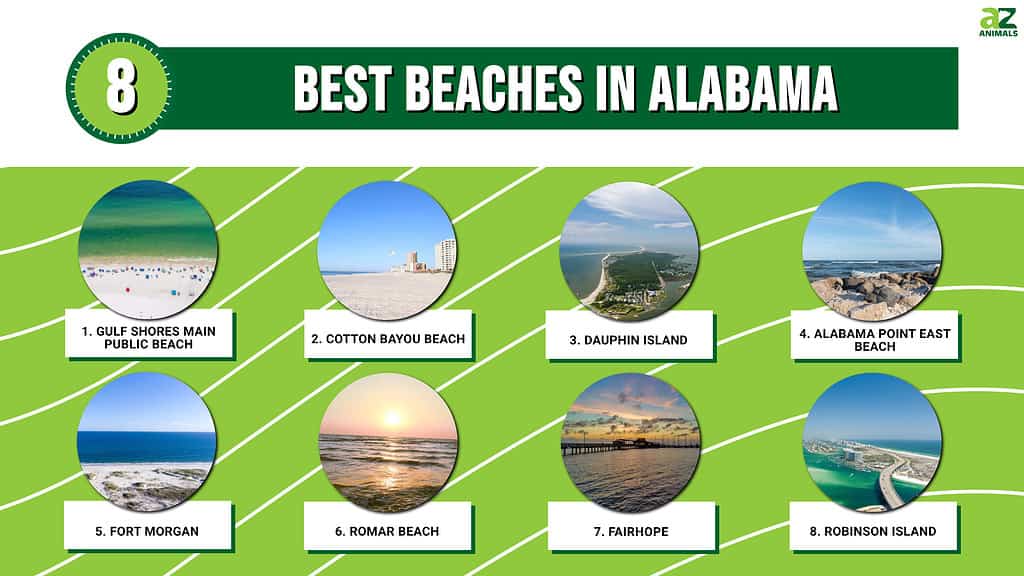 These are the best 8 beaches in Alabama