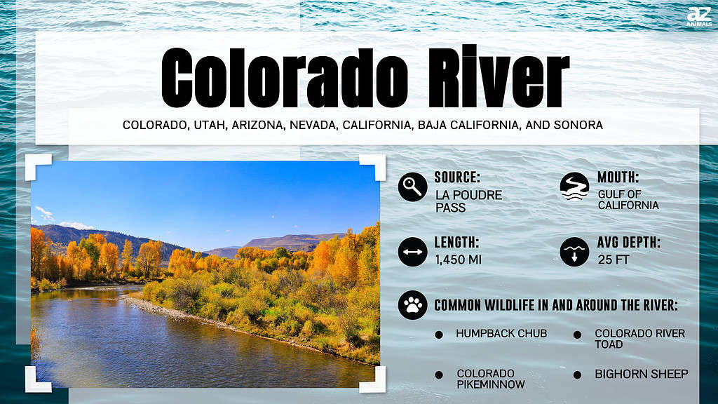 Infographic about the Colorado River.