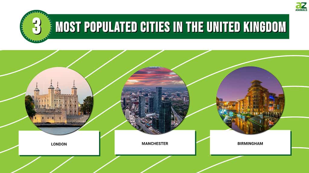 Picture graph of the 3 Most Populated Cities in the United Kingdom