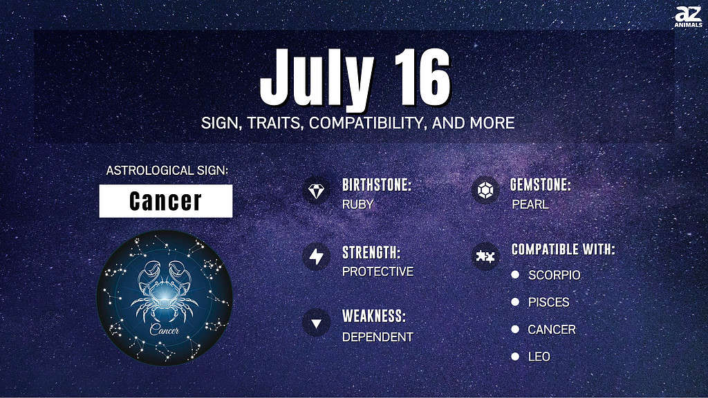 July 16 Zodiac Sign, Traits, Compatibility and More AZ Animals