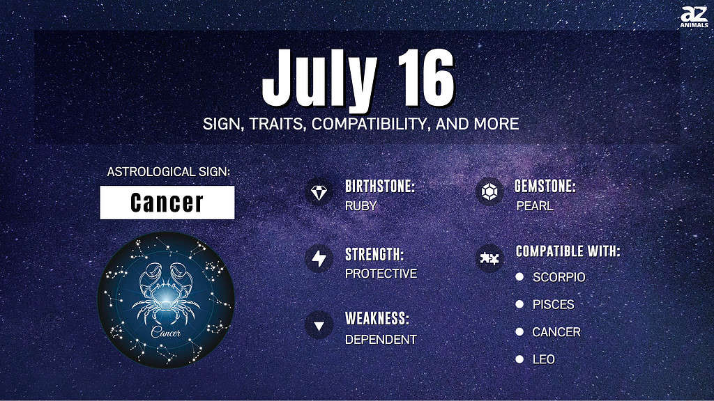 July 16 Zodiac Sign Traits Compatibility And More A Z Animals