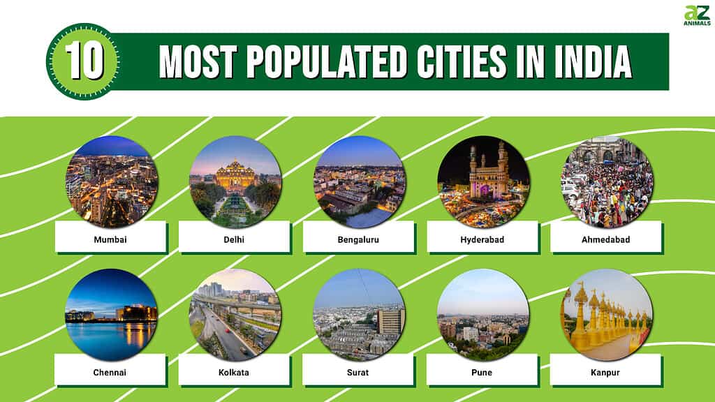 Picture graph of the 10 Most Populated Cities in India.
