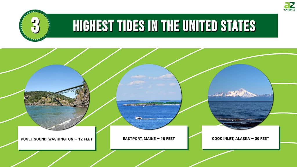Picture graph of the locations of the 3 Highest Tides in the US.