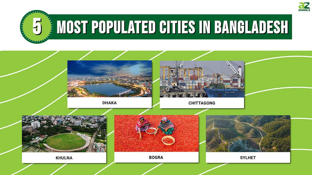 Picture Graph of the 5 Most Populous Cities in Bangladesh.
