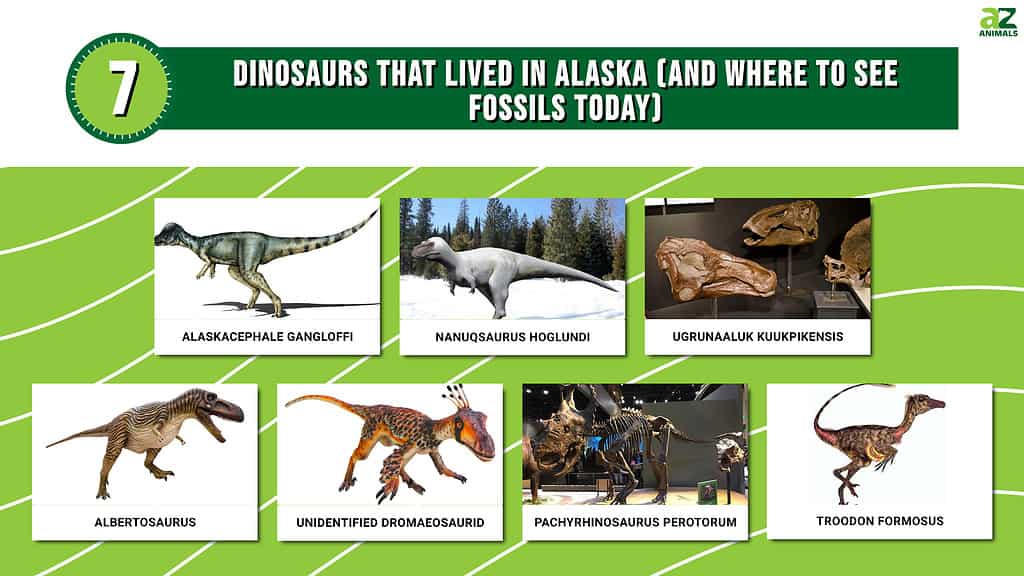 Dinosaurs of Alaska
