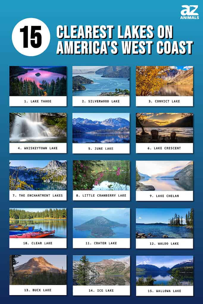 Infographic of 15 Clearest Lakes on the West Coast of the U.S.