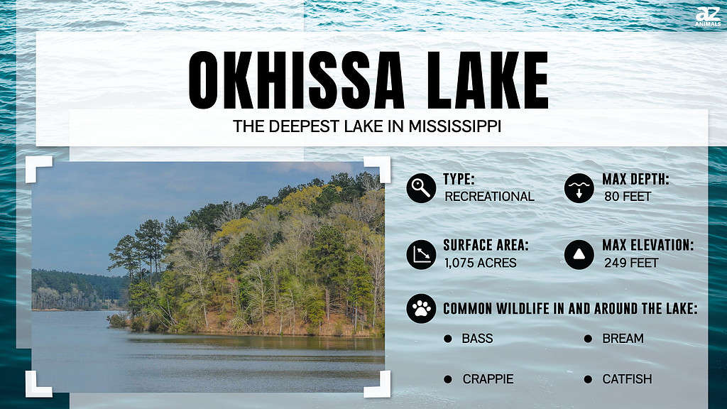 Infographic of Okhissa Lake