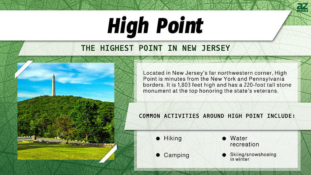 Infographic of High Point