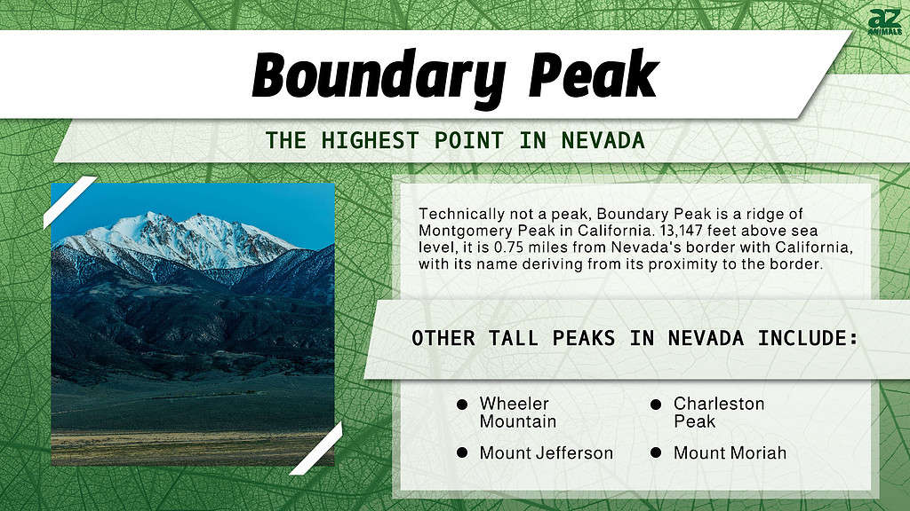 Infographic of Boundary Peak