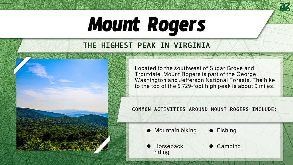 Infographic of Mount Rogers