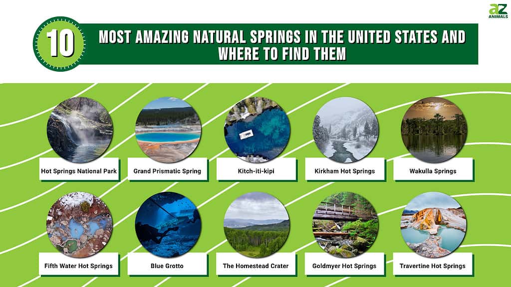 10 Most Amazing Natural Springs in the United States and Where to Find Them
