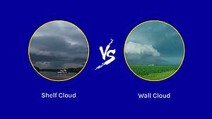 Shelf Cloud vs Wall Cloud: 12 Key Differences Picture