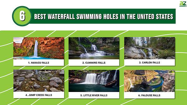 The 6 Best Waterfall Swimming Holes in the United States - A-Z Animals