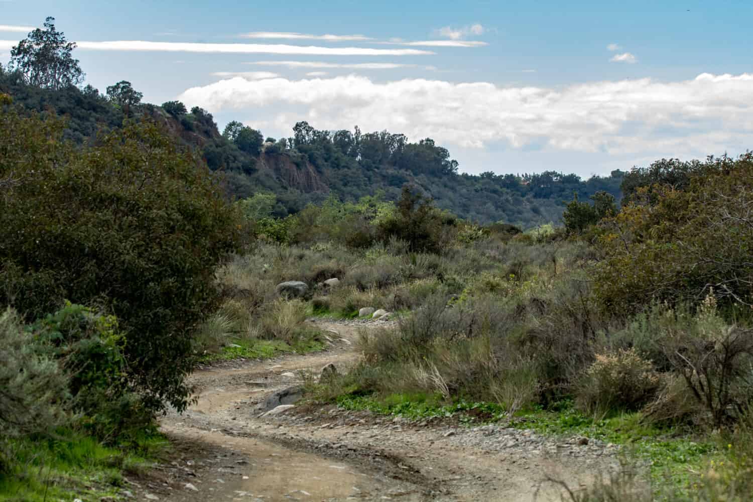 Holy Jim Canyon, Trabuco canyon California