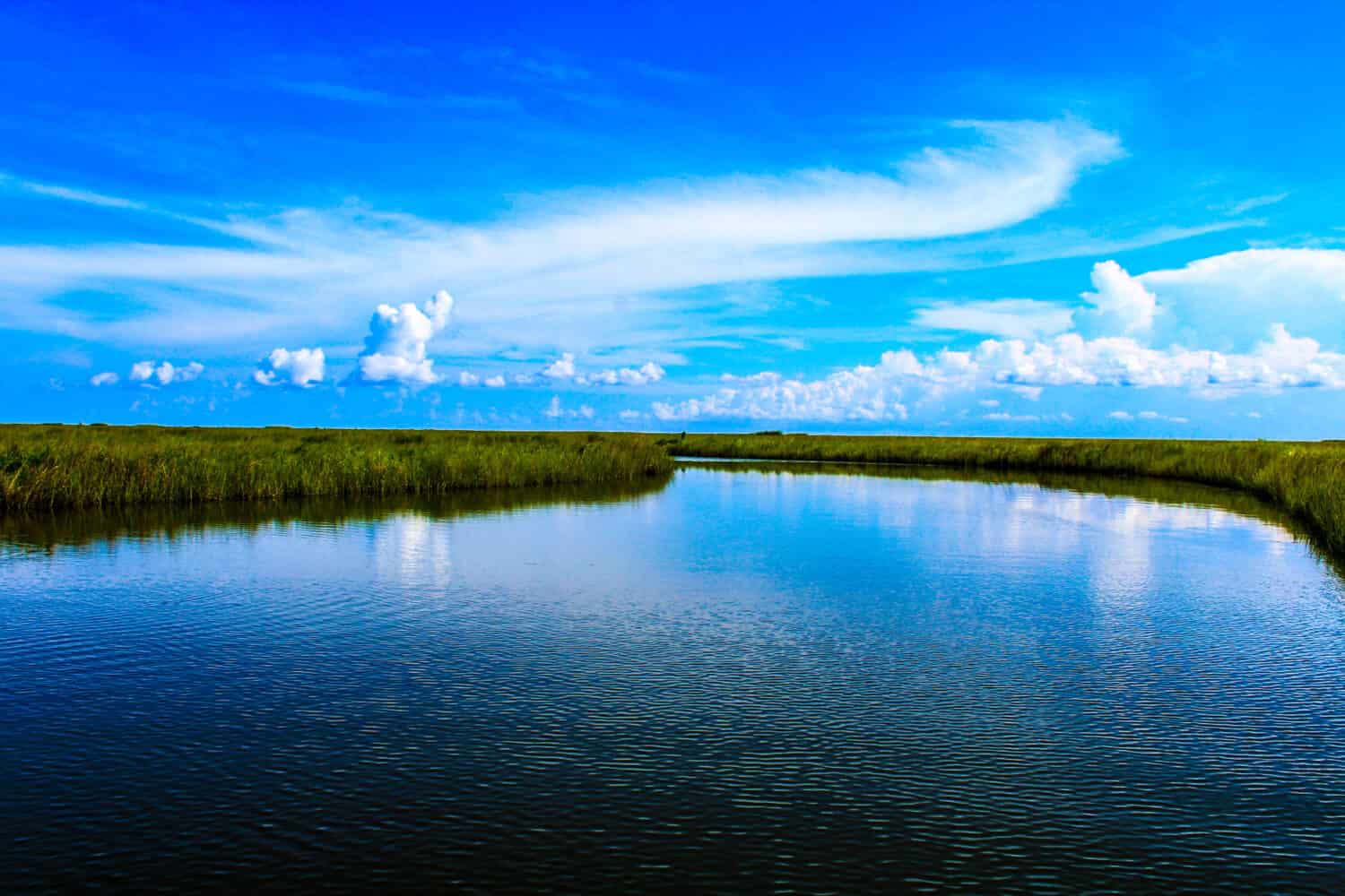 Beautiful Southern Louisiana Bayou surrounded by marsh