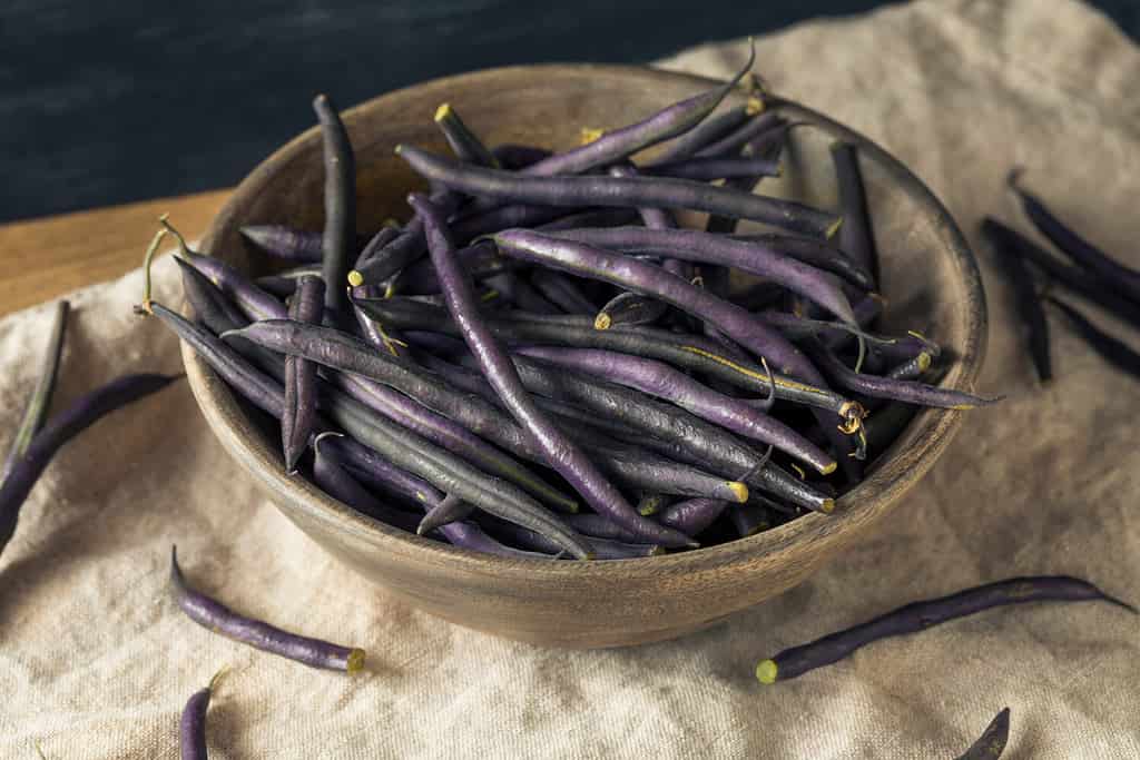 Raw Purple Organic String Beans Ready to Cook