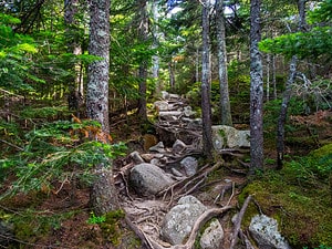 Discover the 11 Largest State Parks in Maine Picture