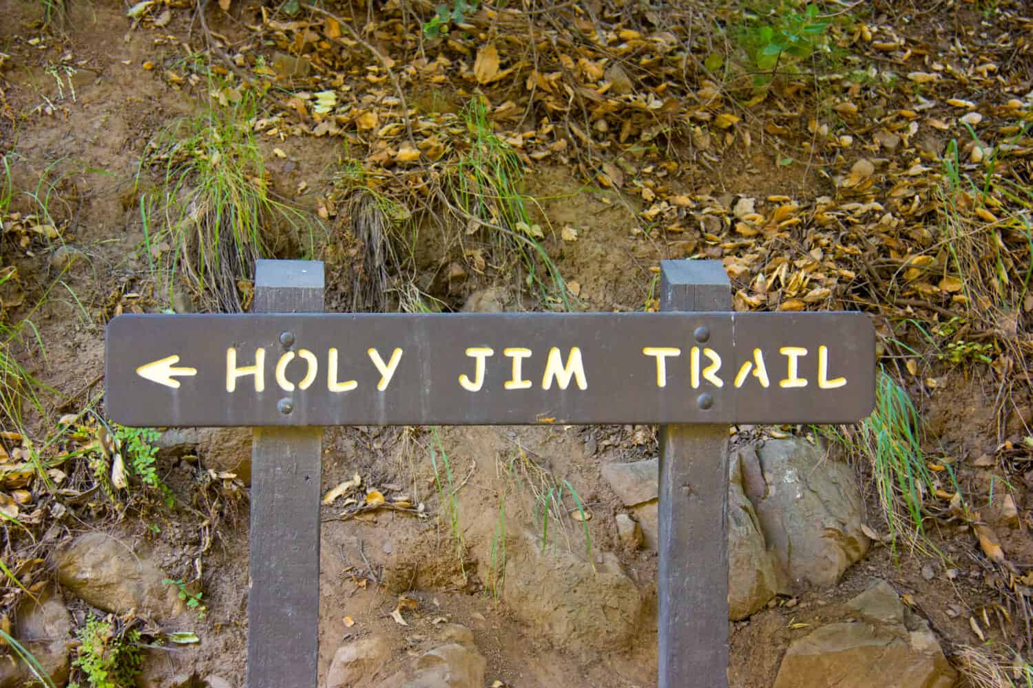 Hiking Along the Holy Jim Trail to Santiago Peak in Southern California