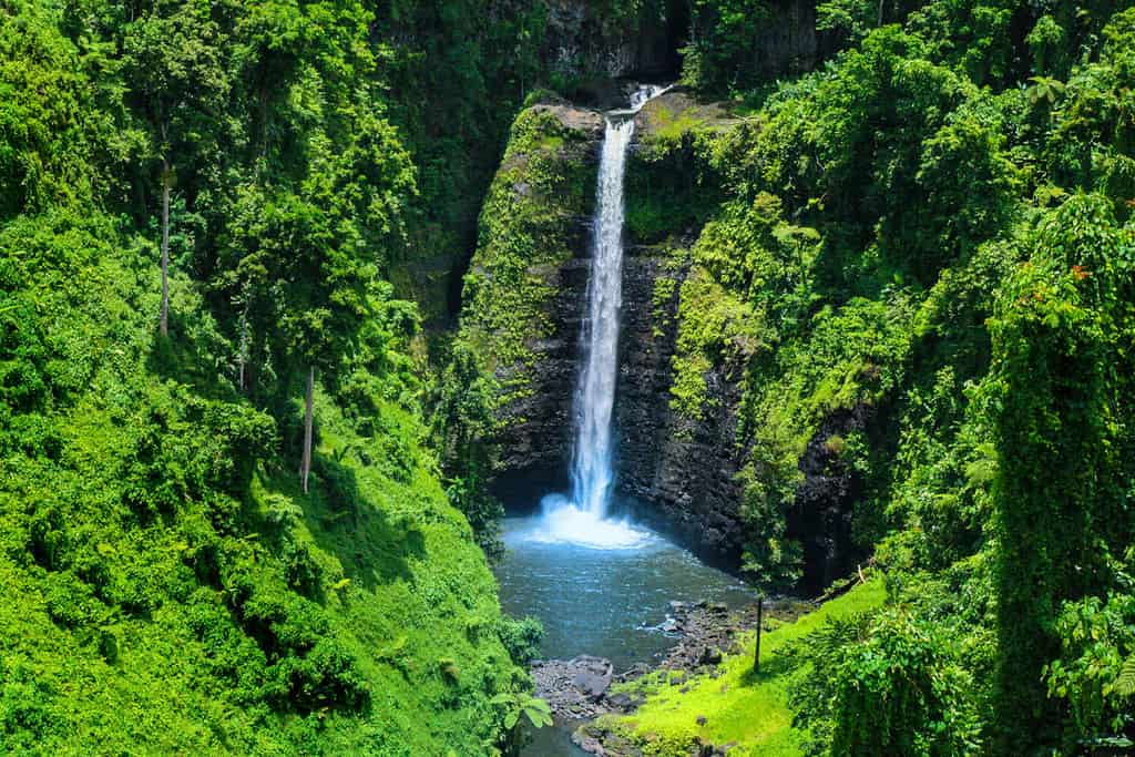 Stunning view of wild jungle waterfall with pristine water, Sopoaga Tropical Waterfall Samoa close up, Upolu Island, Western Samoa, Oceania