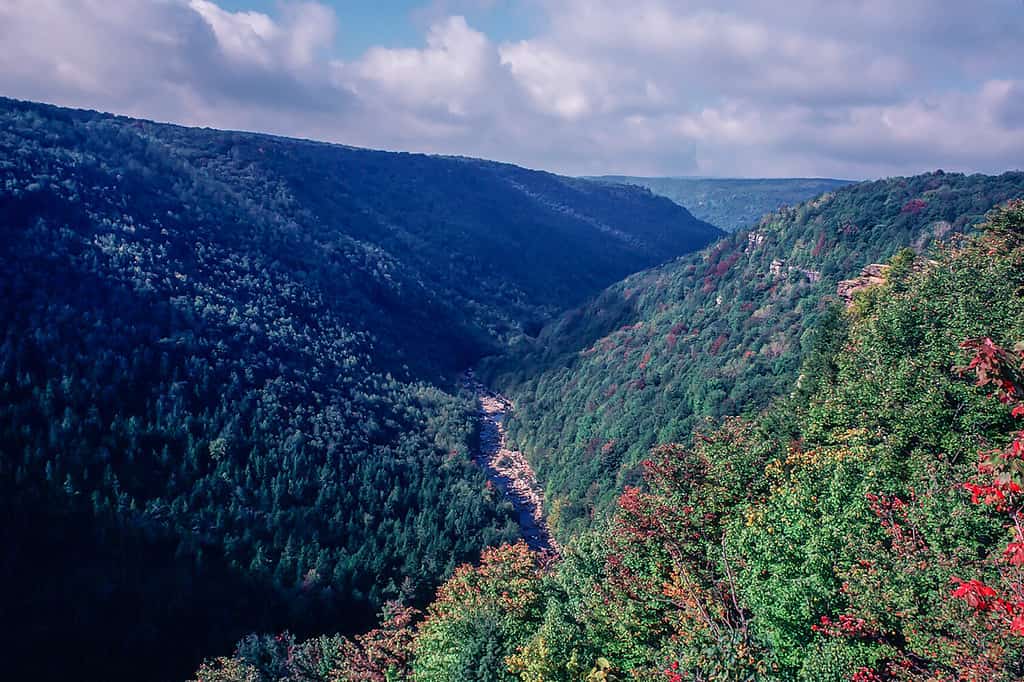 View overlooking the Trough Hampshire County West Virginia USA - Wooded gorge with Autumn foliage, distant creek bed between mountain ridges