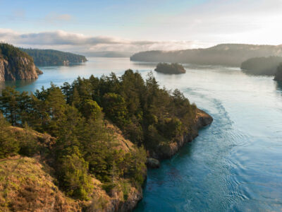 A Discover the Largest Island in Washington State (And the Creatures That Call It Home)