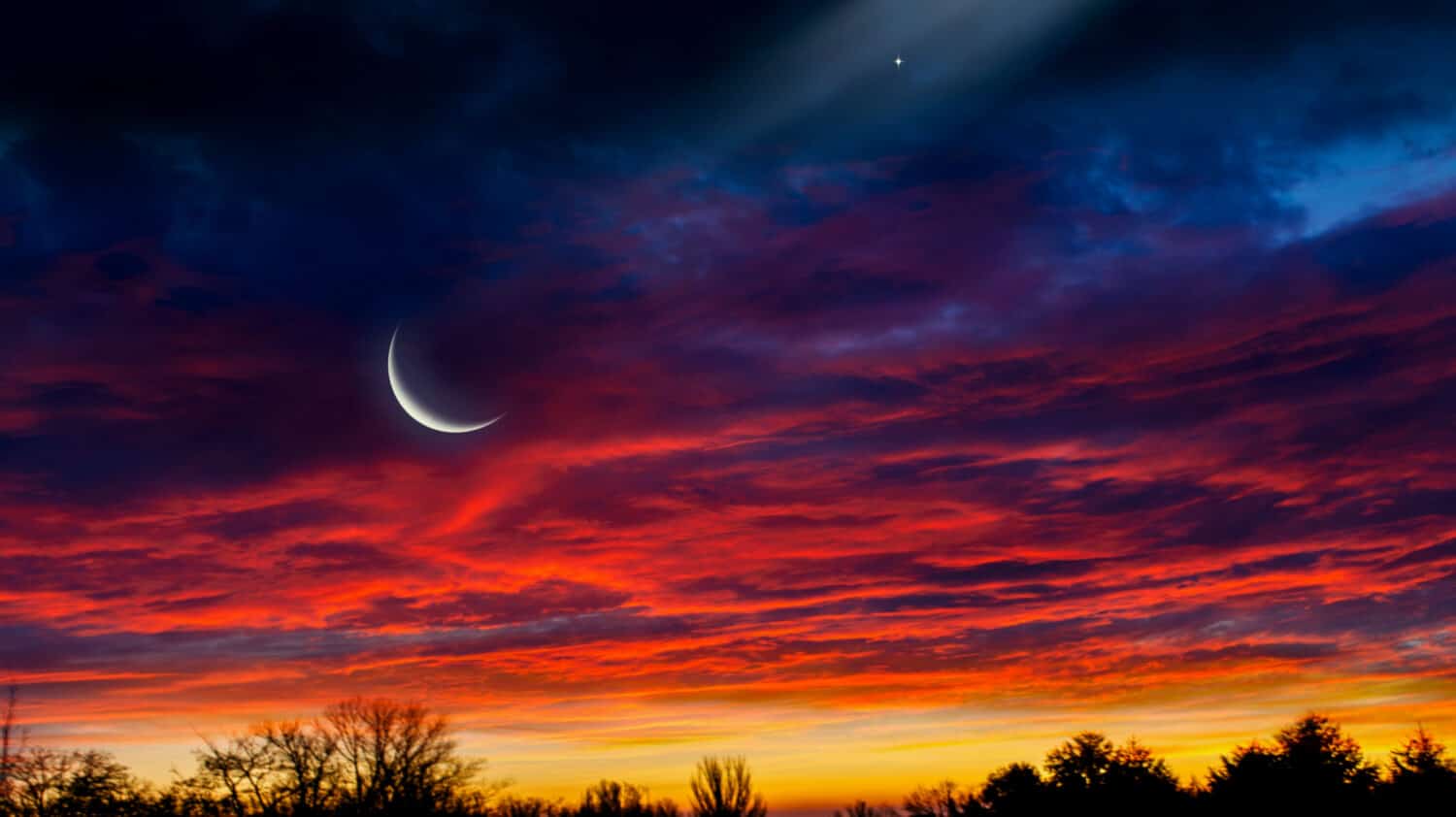 The Next New Moon October 14, 2023 — See Details and More AZ Animals