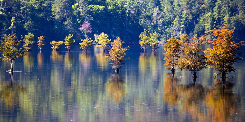 Autumn on Lake Ocoee in eastern Tennessee. The flooded lake makes an awesome reflection of the fall leaves on the trees