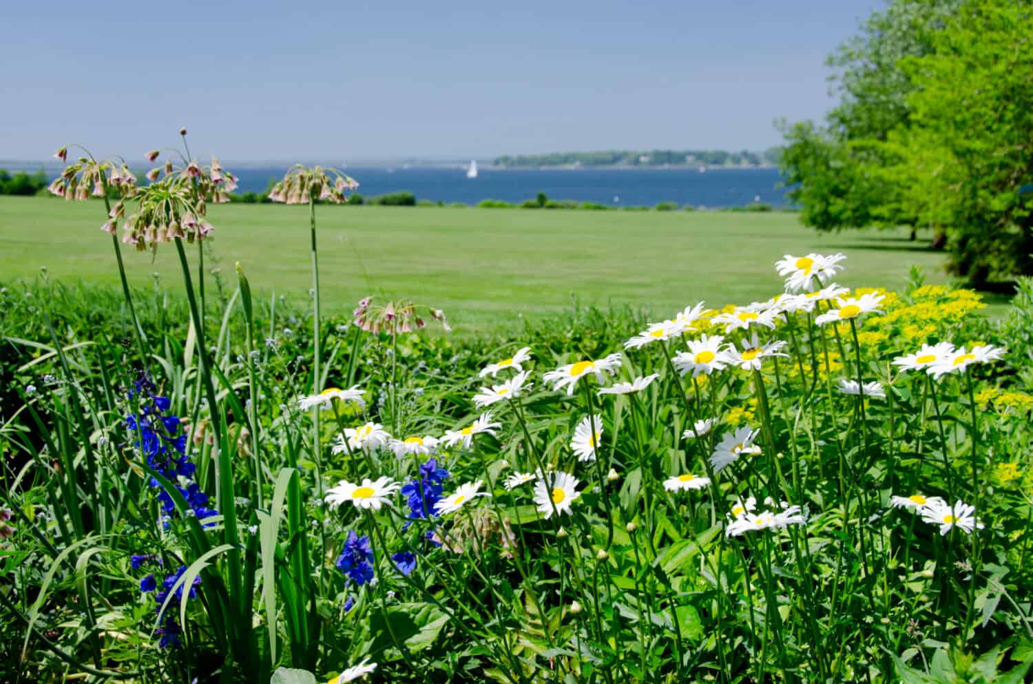 Flowers in Rhode Island. Historic Blithewold Mansion, Gardens and Arboretum. Extensive grounds and garden with view of Narragansett Bay.