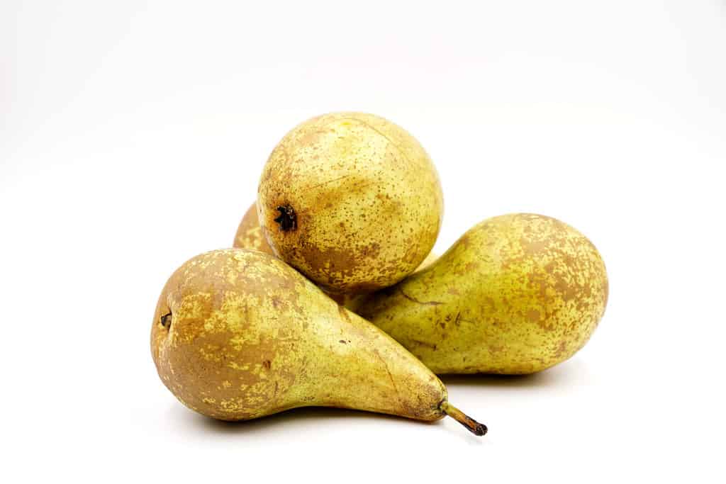 Fresh Concorde pears
