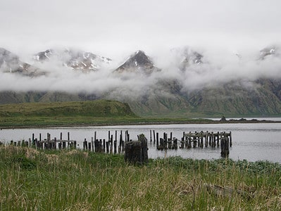 A Discover Alaska’s Largest Uninhabited Island (And What Lurks Within In)