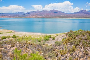 Roosevelt Lake Fishing, Size, Depth, And More Picture