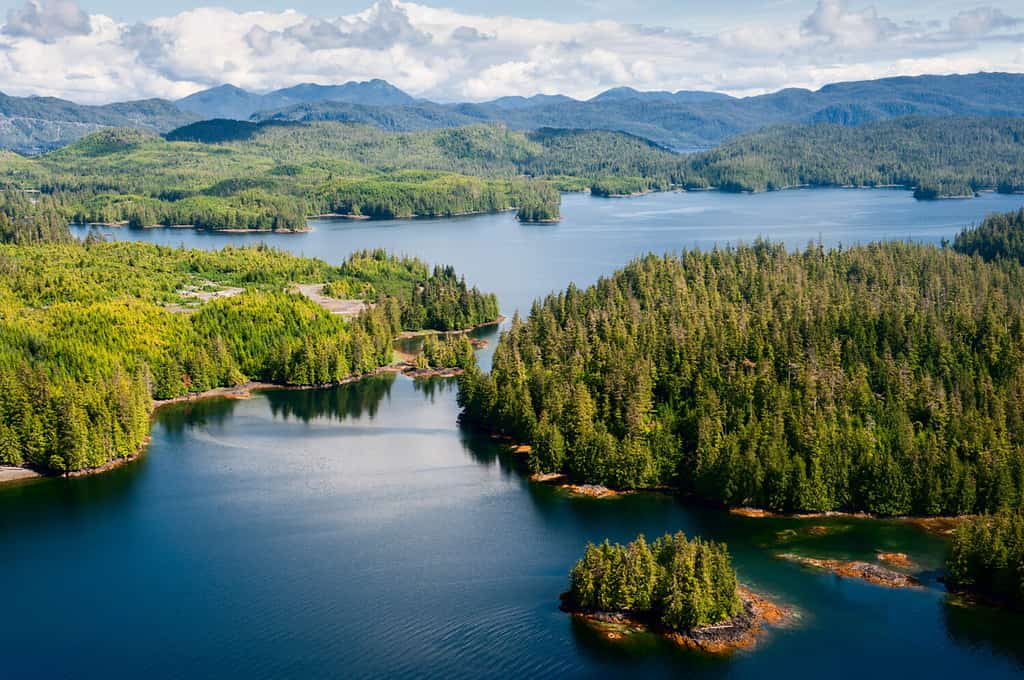 Alaska Prince of Wales island aerial view from float plane