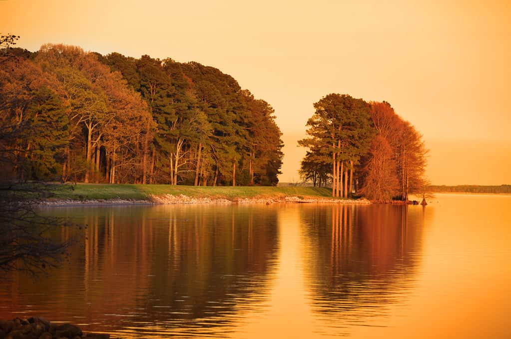 Ross R Barnett reservoir