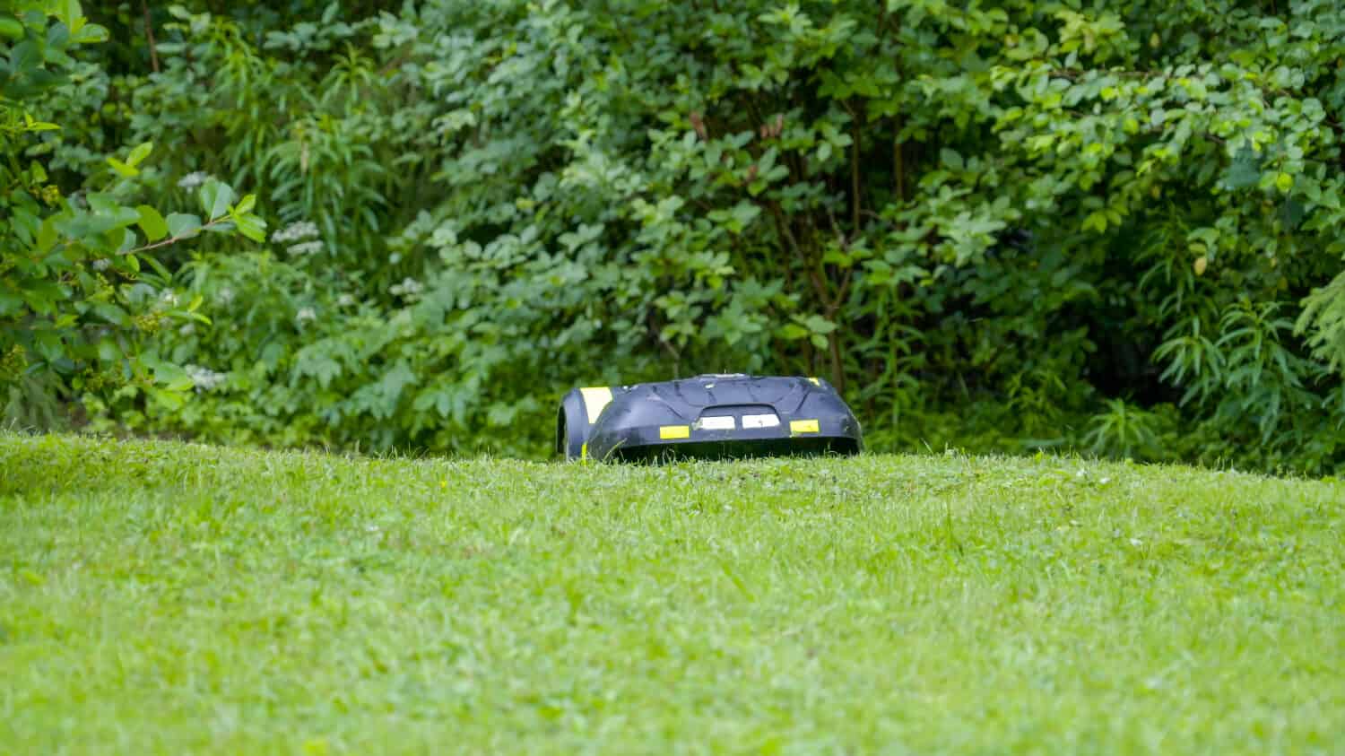Un automower che si muove sull'erba verde.  Sembra una piccola macchina telecomandata