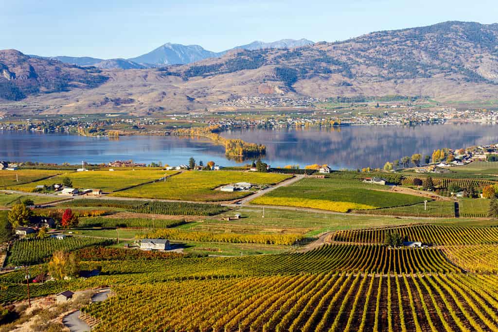 View of the small town of Osoyoos and Haynes Point Provincial Park on Okanagan Lake, British Columbia, Canada. Osoyoos is a town in the Okanagan Valley region of British Columbia, Canada.