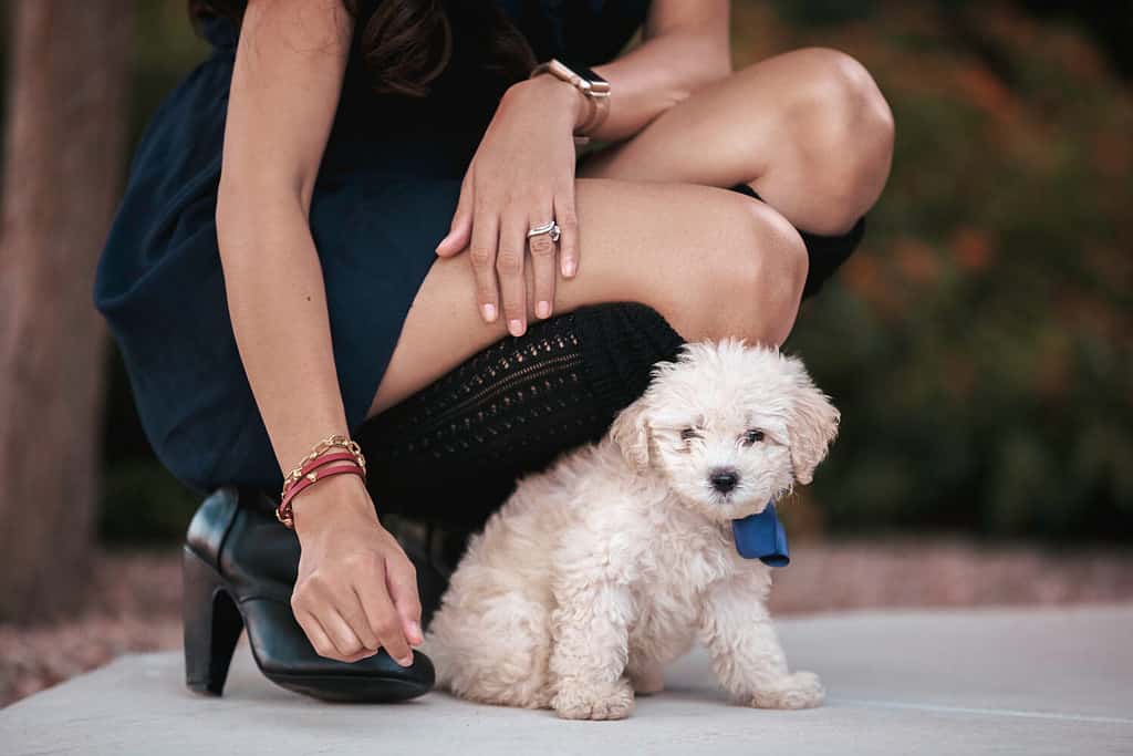 beautiful asian filipina girl wearing a dress and boots kneeling down next to a cute cream colored maltipoo puppy with a blue bow on her