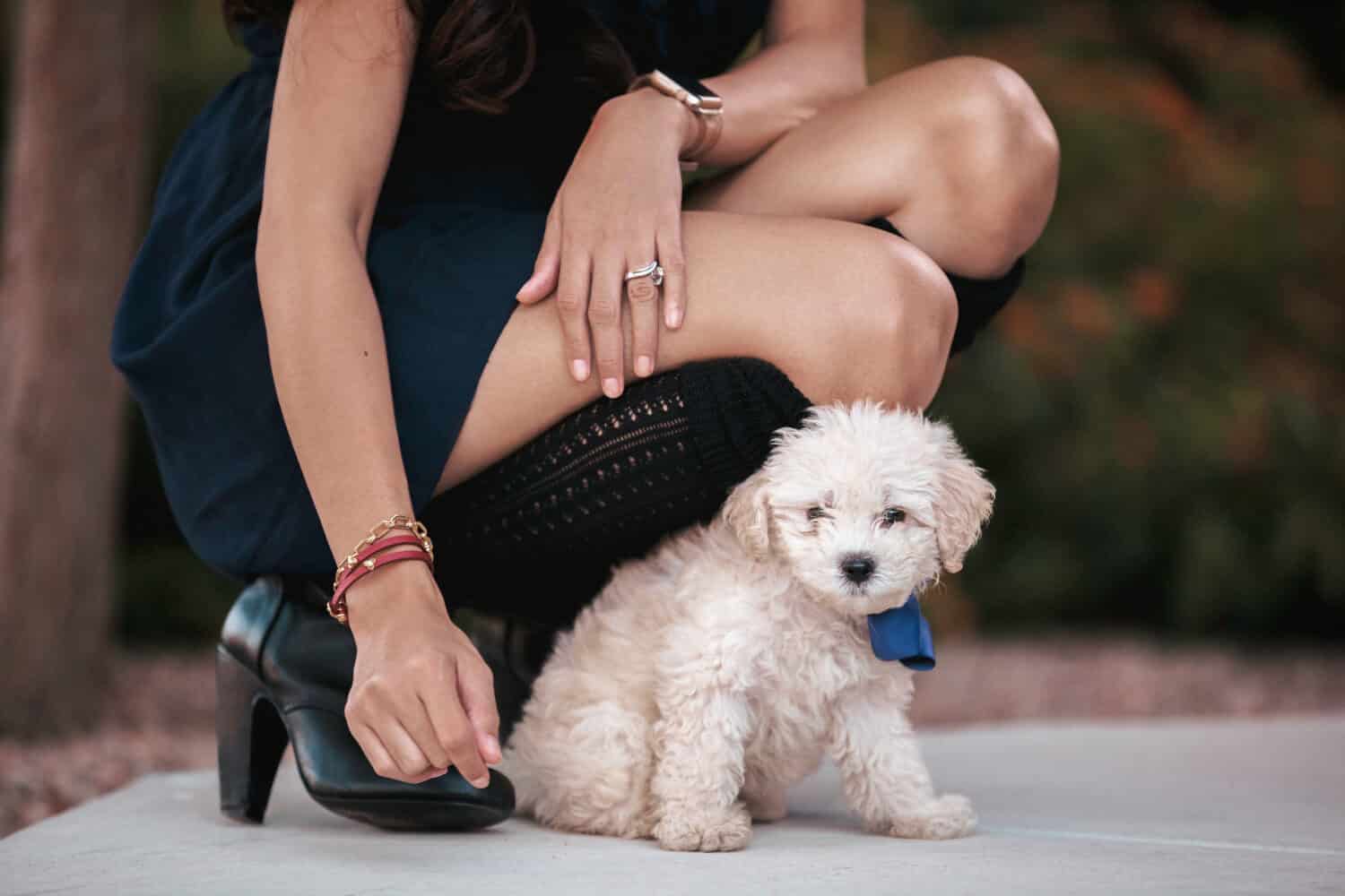 beautiful asian filipina girl wearing a dress and boots kneeling down next to a cute cream colored maltipoo puppy with a blue bow on her 